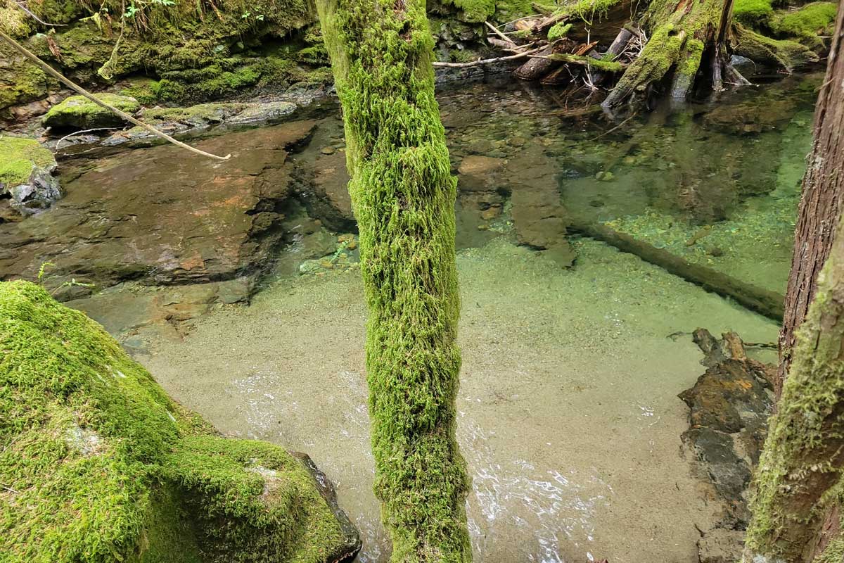 Canyon Creek Quadra Island