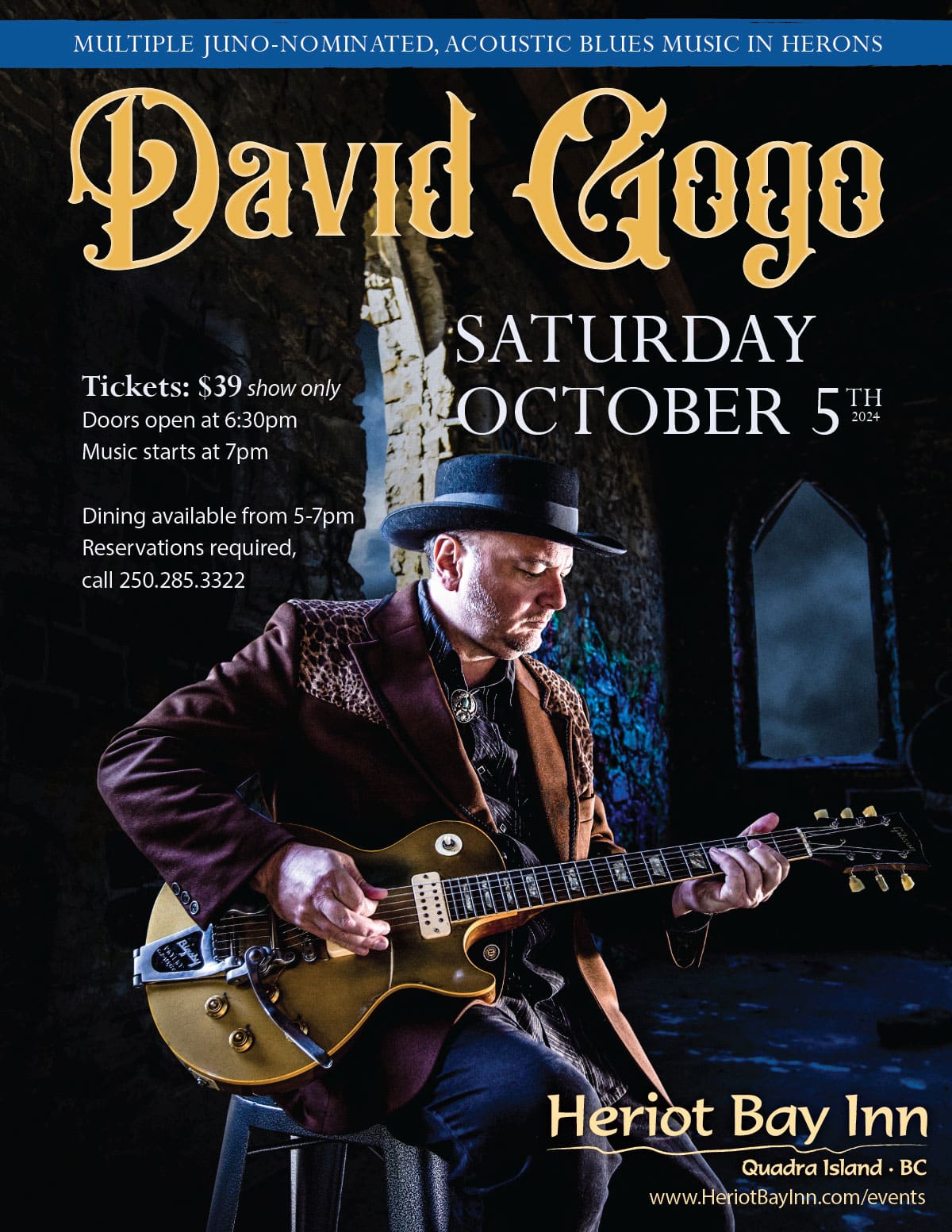 David Gogo dinner show poster