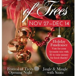 Festival of Trees 2025