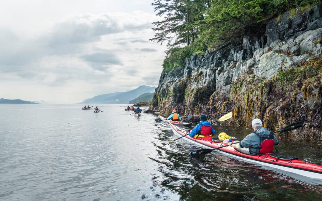 Exploring the Serene Waters around Quadra Island by Kayak