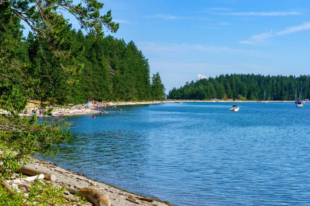 Summer at Rebecca Spit, Quadra Island