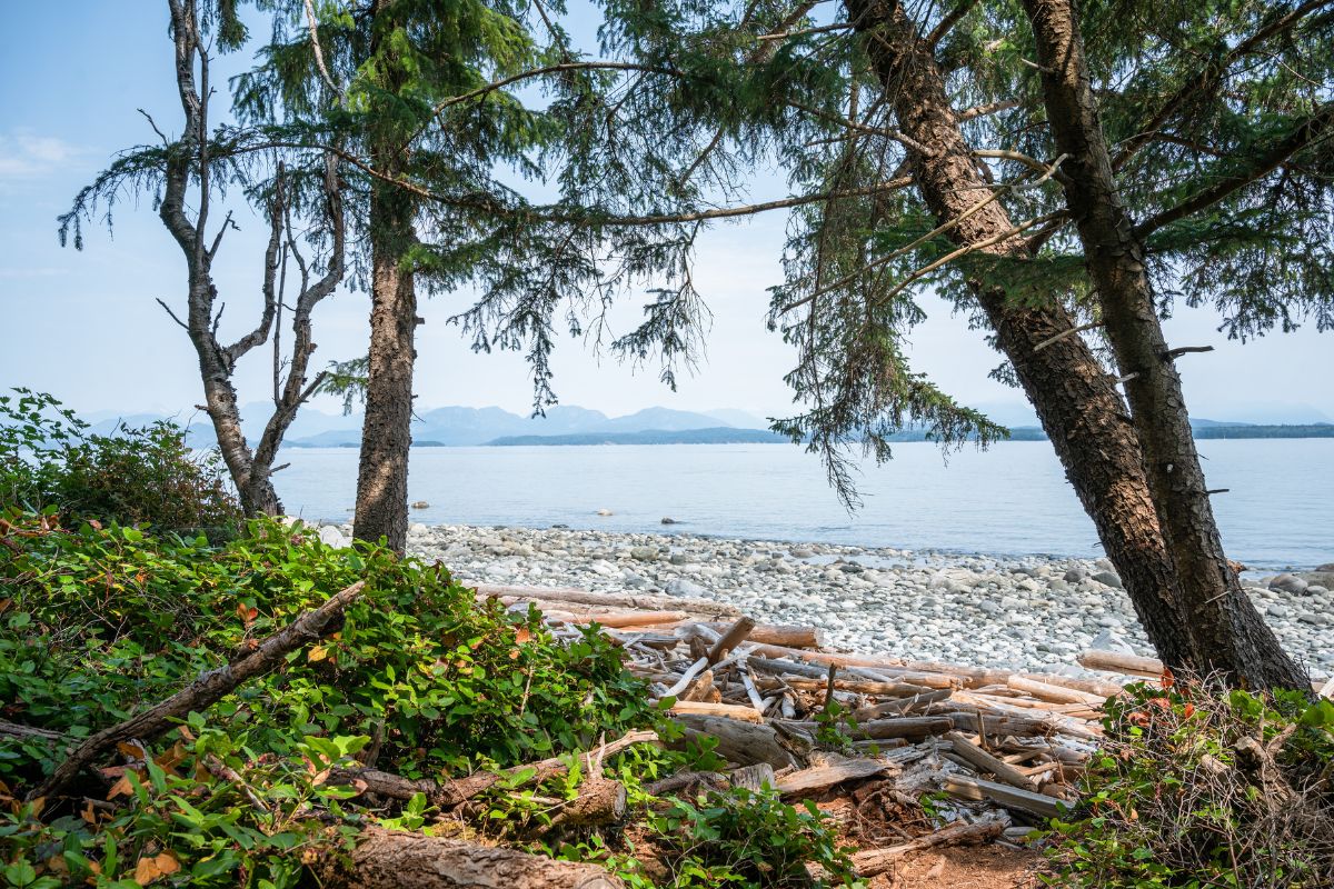 View from Rebecca Spit Park on Quadra Island