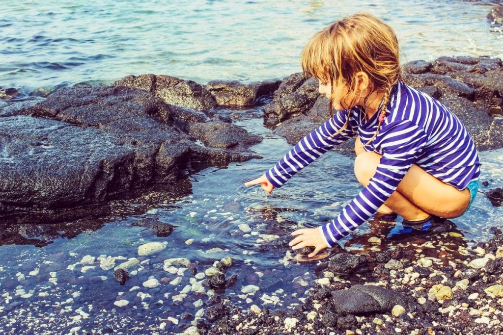 Child exploring a tidal pool on the beach