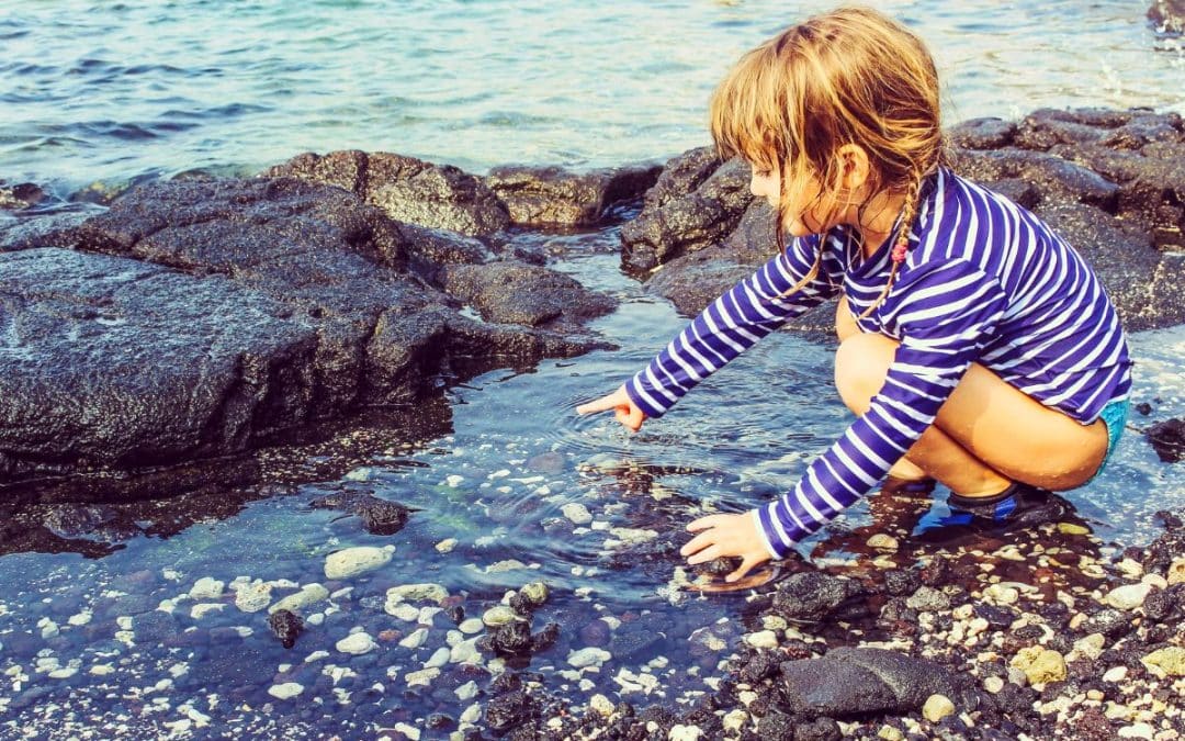 Exploring Intertidal Sea Life in Heriot Bay on Quadra Island