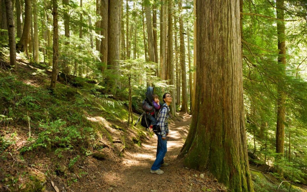 Hiking on Quadra Island: A Nature Lover’s Paradise