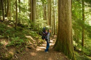 hiking in the forest